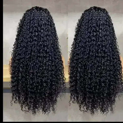 Raw Vietnamese Burmese Curly Raw Virgin Human Hair HD Lace Unprocessed Wigs (180 Density).