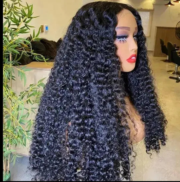 Raw Vietnamese Burmese Curly Raw Virgin Human Hair HD Lace Unprocessed Wigs Natural Black
