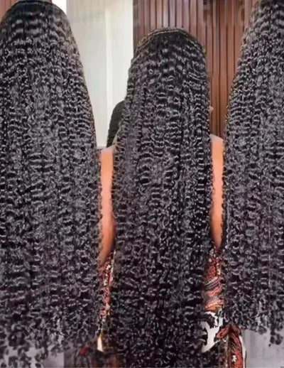 Raw Vietnamese Burmese Curly Raw Virgin Human Hair HD Lace Unprocessed Wigs 50 Natural Black