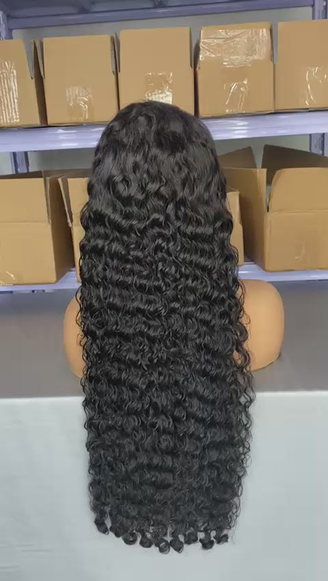 Raw Vietnamese Burmese Curly Raw Virgin Human Hair HD Lace Unprocessed Wigs (180 Density).